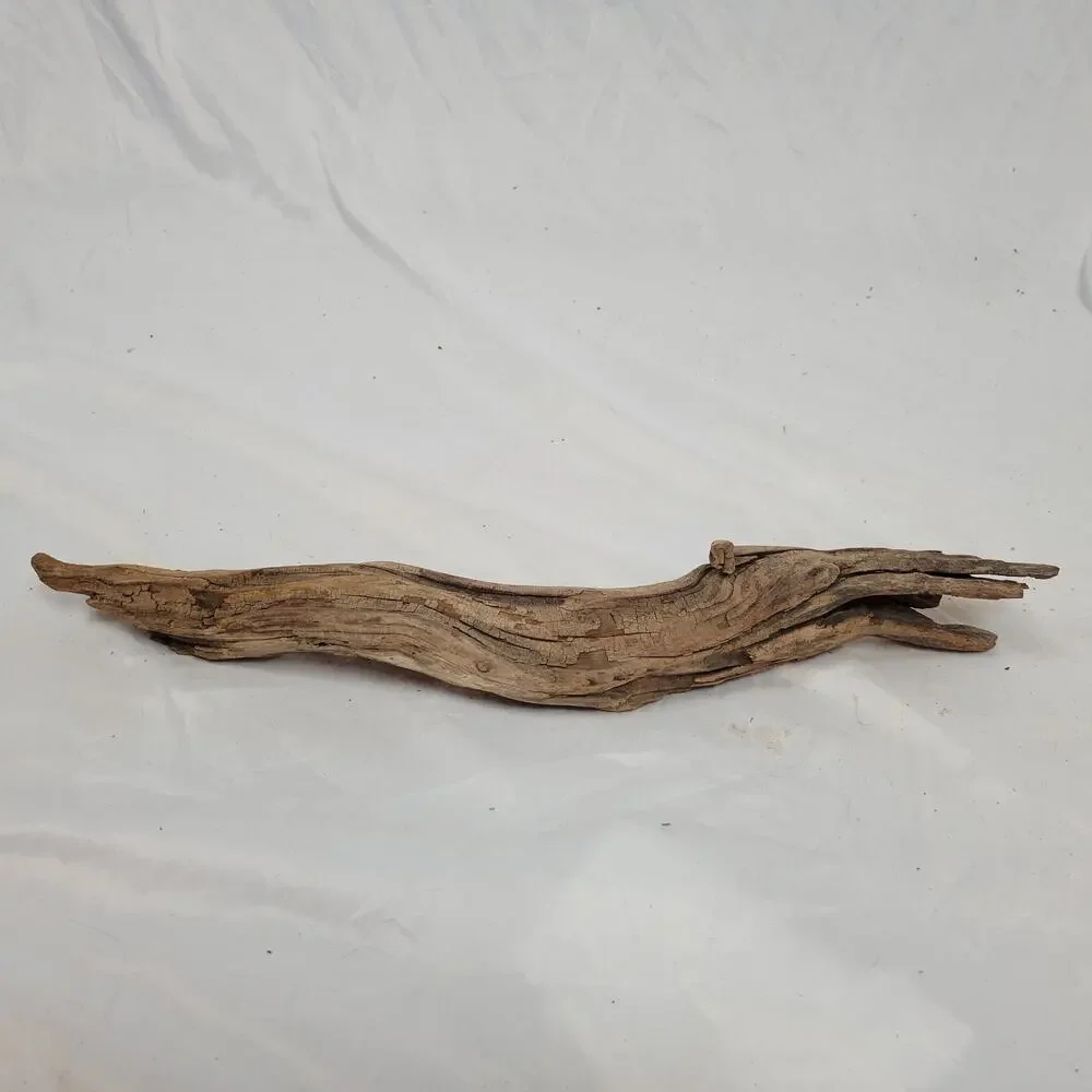 Ohio River Driftwood 22